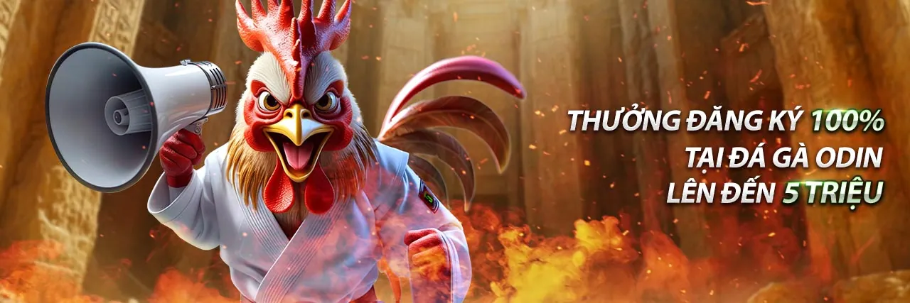 Lợi ích khi cá cược tại km666 win